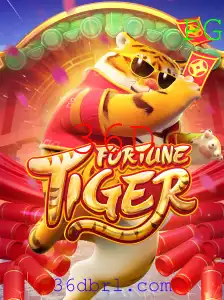 36D Bingo online